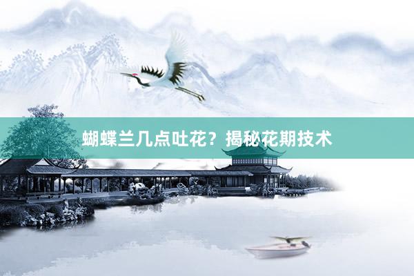 蝴蝶兰几点吐花？揭秘花期技术