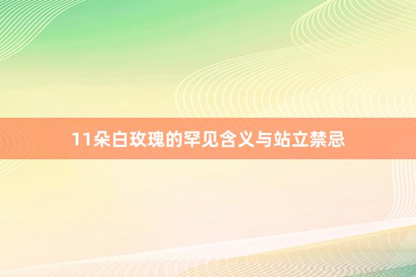 11朵白玫瑰的罕见含义与站立禁忌