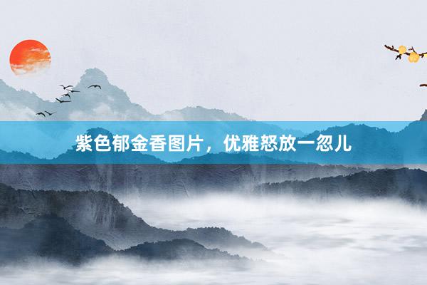 紫色郁金香图片，优雅怒放一忽儿
