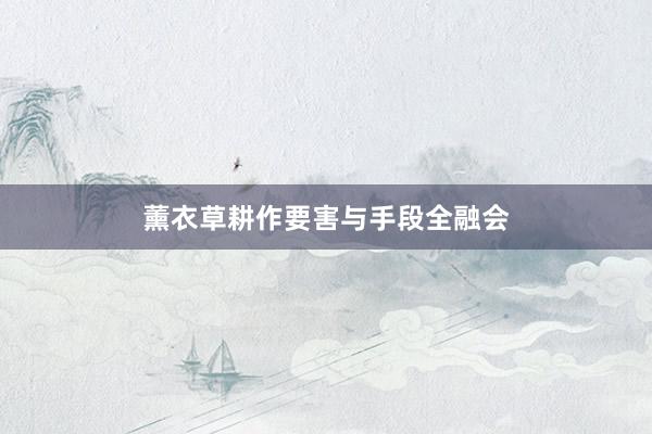 薰衣草耕作要害与手段全融会