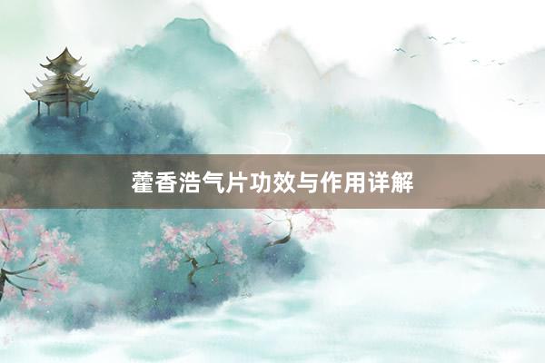 藿香浩气片功效与作用详解